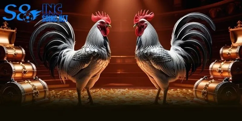 Chú ý kiểm soát vốn và tâm lý ổn định khi tham gia