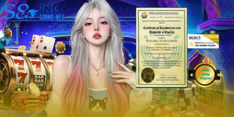 Tổng hợp những giấy phép hoạt động tại S8