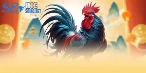 Mẹo chơi đá gà ảnh thumb