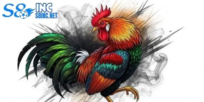 Mẹo chơi đá gà theo lối quan sát hình thái và phong độ